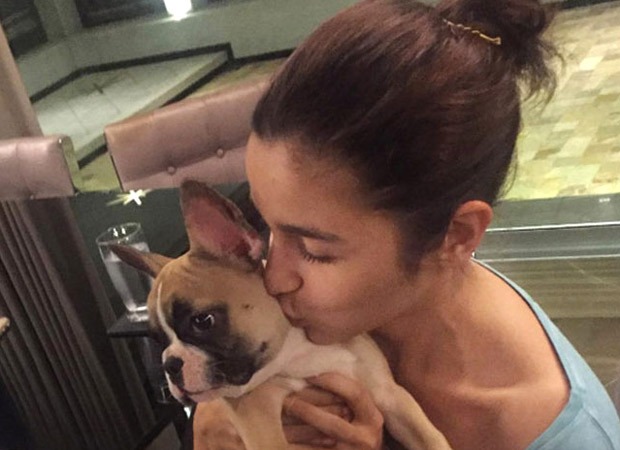 After Anushka Sharma, Alia Bhatt urges people to not abandon their pets for fear of infection