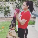 Watch: Preity Zinta does an improvised workout session with her pet dog Bruno