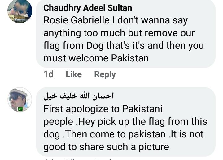 Rosie Gabrielle Receives Hate For Dressing Dog In Pakistani Flag 19