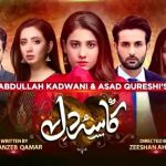 Kasa-E-Dil Drama Cast In Real Life