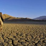 PM Imran Khan Urges the World to Tackle Climate Change on Pakistan Strategy Day