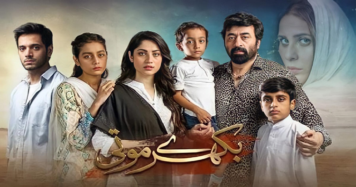 Issue Based Pakistani Dramas of 2020