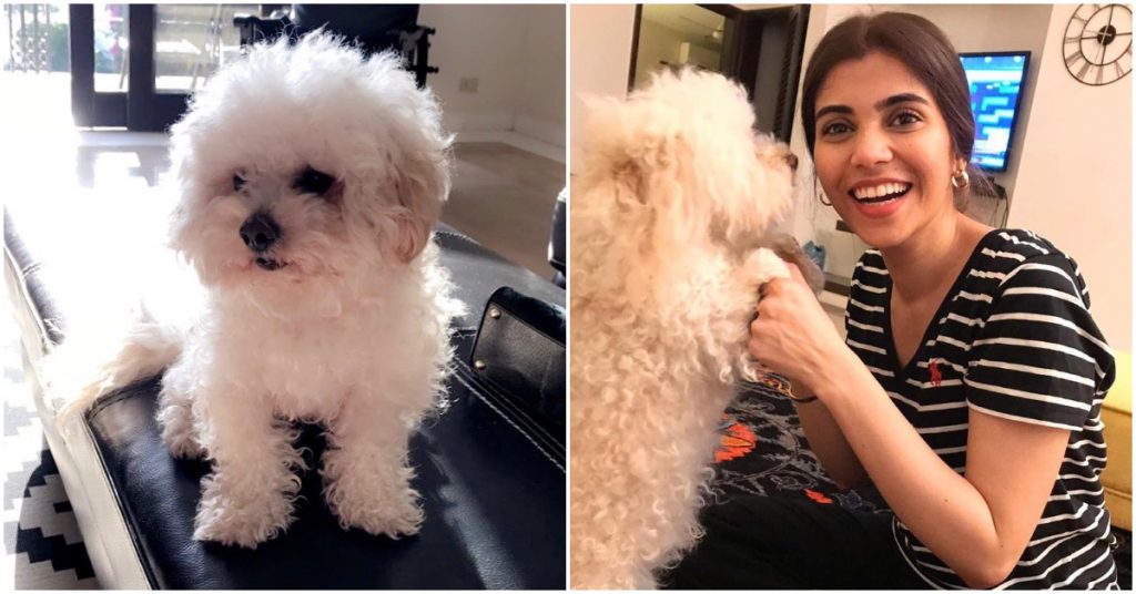 Lovely Pet Dog of Minna Tariq and Rubina Ashraf