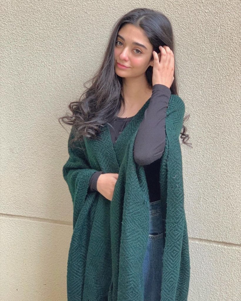 Best Winter Pullovers of Noor Zafar Khan