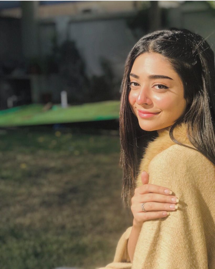 Best Winter Pullovers of Noor Zafar Khan