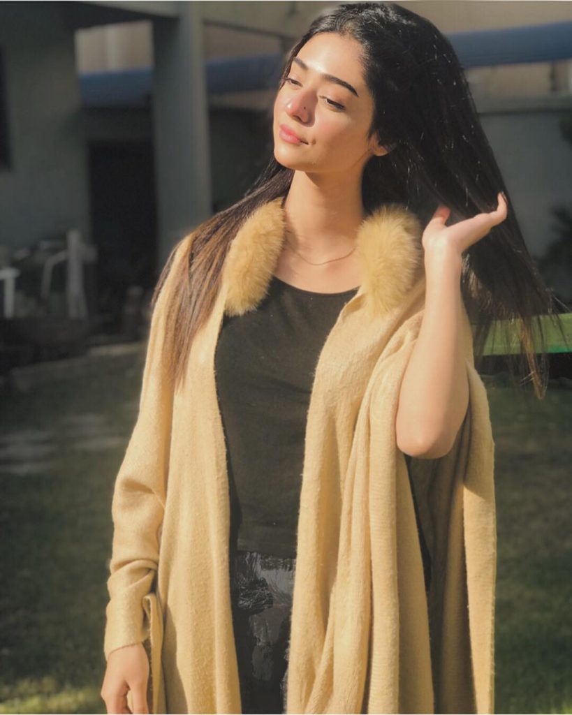 Best Winter Pullovers of Noor Zafar Khan