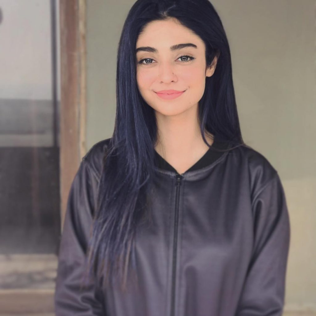 Best Winter Pullovers of Noor Zafar Khan