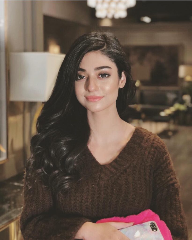 Best Winter Pullovers of Noor Zafar Khan