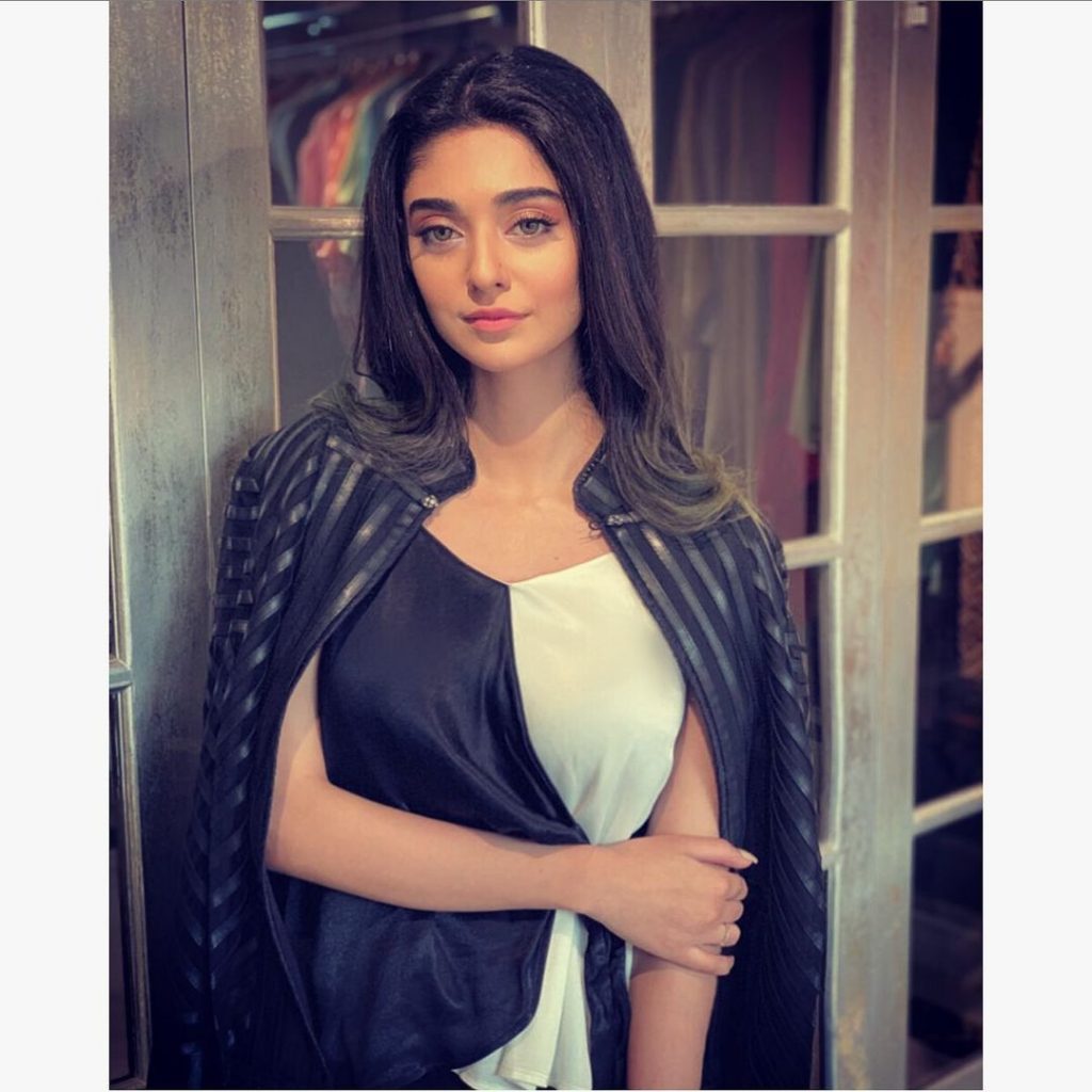 Best Winter Pullovers of Noor Zafar Khan