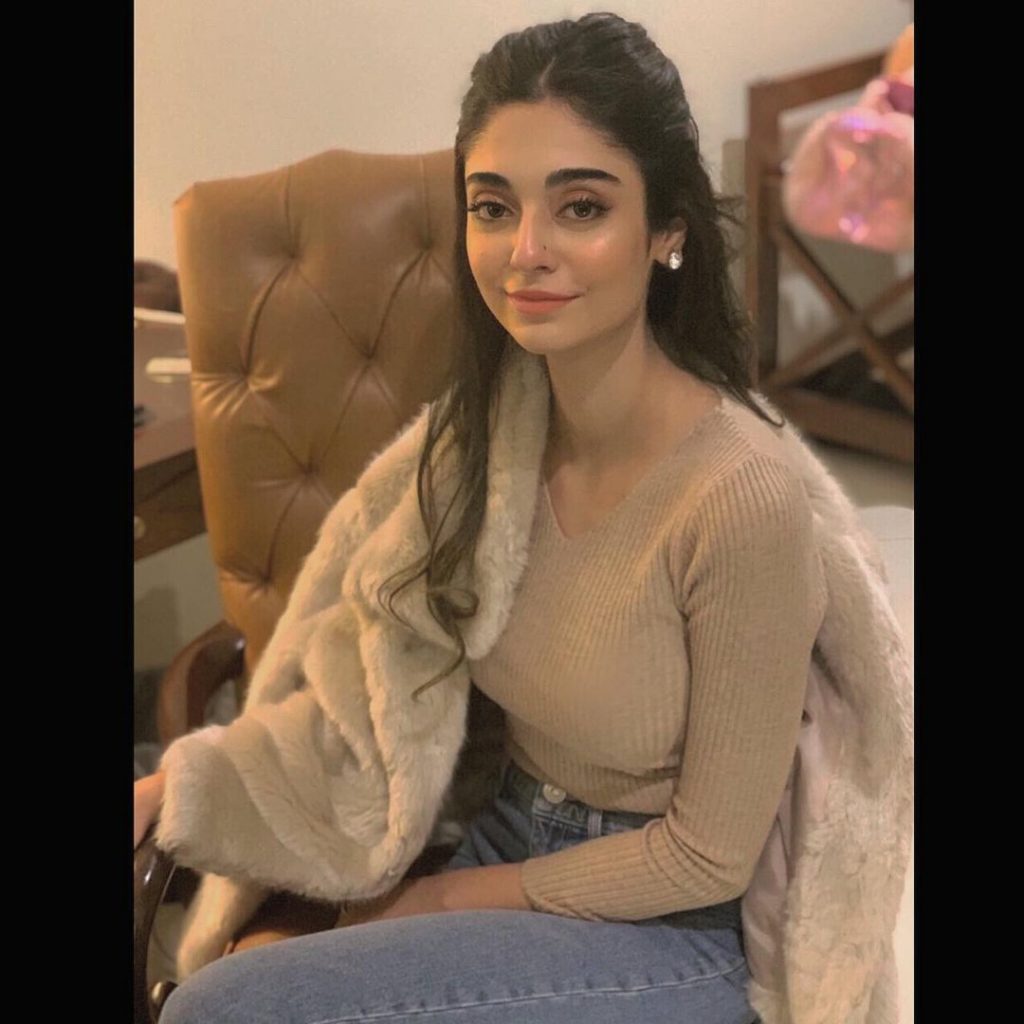 Best Winter Pullovers of Noor Zafar Khan