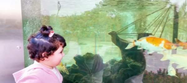 Muneeb And Aiman Beautiful Pictures In Zoo
