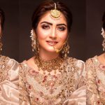 hiba-bukhari-looks-radiant-in-a-traditional-bridal-attire