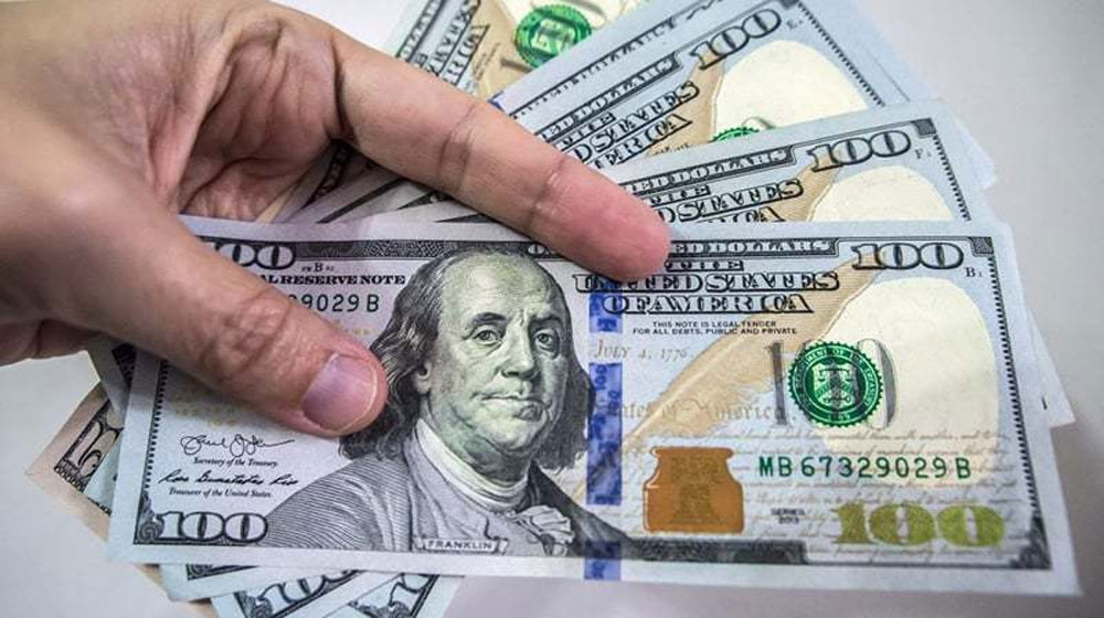 Forex Reserves Witness a Massive Decline Due to Debt Repayment