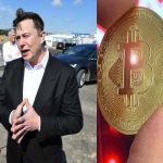 “disastrous-downfall”-elon-musk-behind-bitcoin-crash-&-dogecoin’s-rise