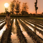 pti-to-include-farm-package-worth-rs.-110-billion-in-upcoming-budget