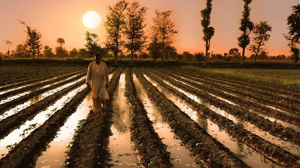 PTI to Include Farm Package Worth Rs. 110 Billion in Upcoming Budget