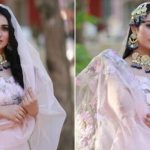 sarah-khan-gives-princess-vibes-in-an-ethereal-dress 