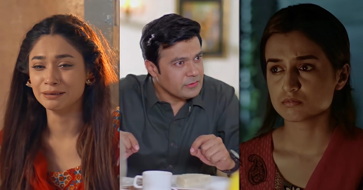 Most Annoying Characters From Pakistani Dramas Right Now