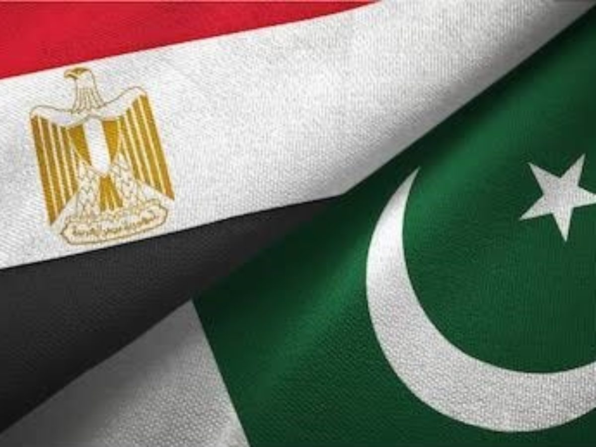 Egyptian Engineering Company Keen on Investing in Pakistan