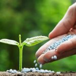 fertilizer-industry-demands-payment-of-subsidy-dues-and-rationalization-of-gst-in-upcoming-budget