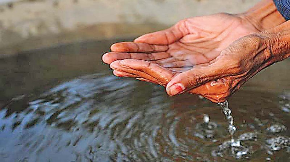 Lower Water Allocation Will Damage Crops in Sindh: Minister