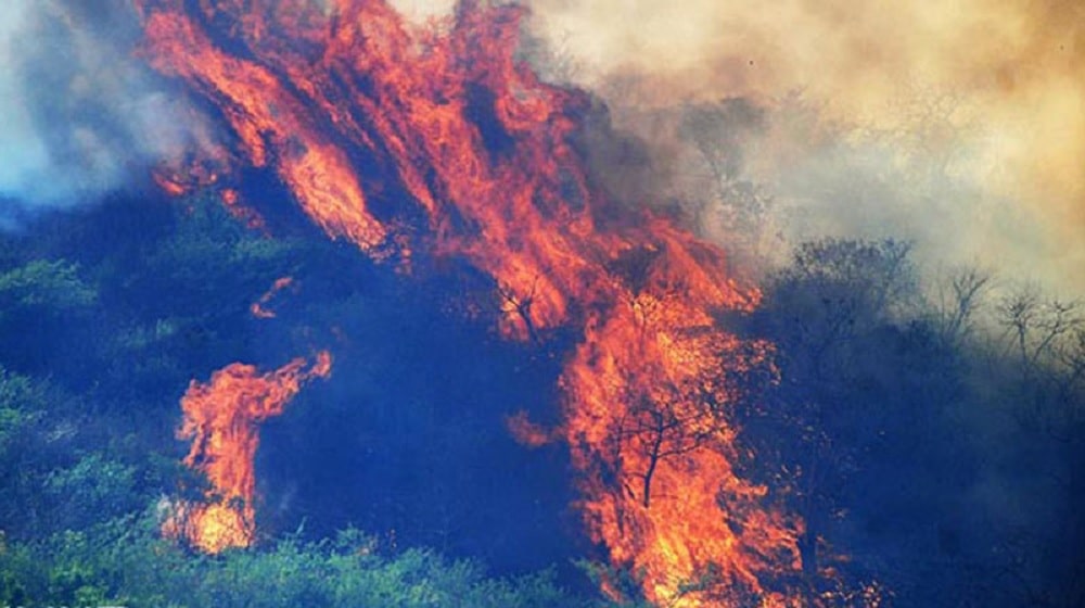 Mysterious Forest Fires Engulf Margalla Hills Again