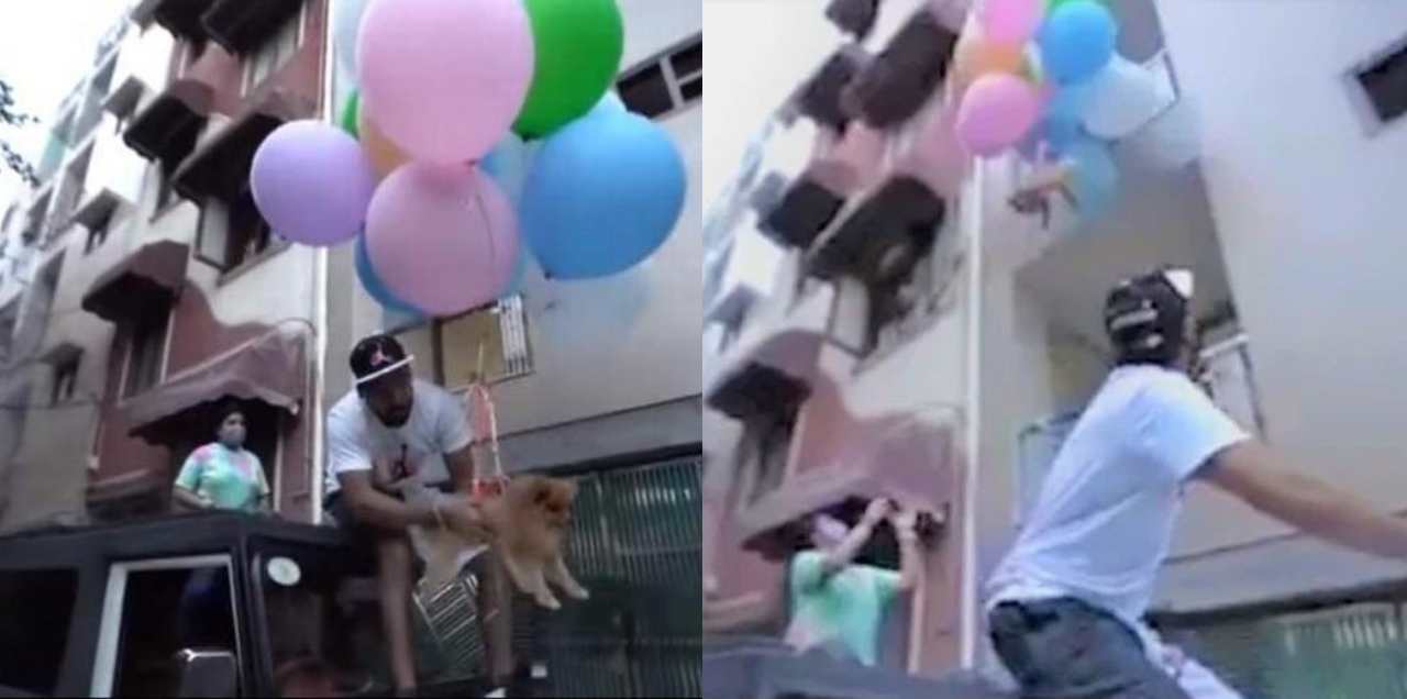 A YouTuber Tries To Fly Helpless Dog With Helium Balloons For Vlog – Video Goes Viral!