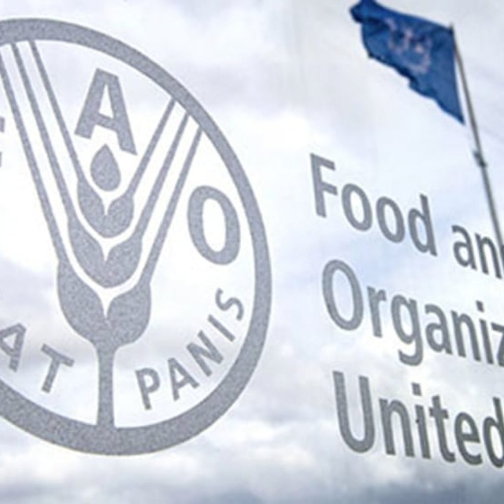 world-food-prices-surge-to-highest-levels-in-a-decade:-fao