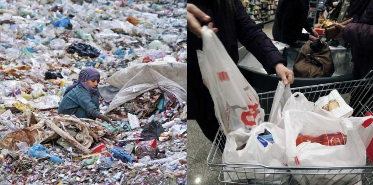 Here’s Why Plastic Is Harming Our Environment!