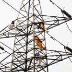 electricity-shortfall-reduces-to-593mw