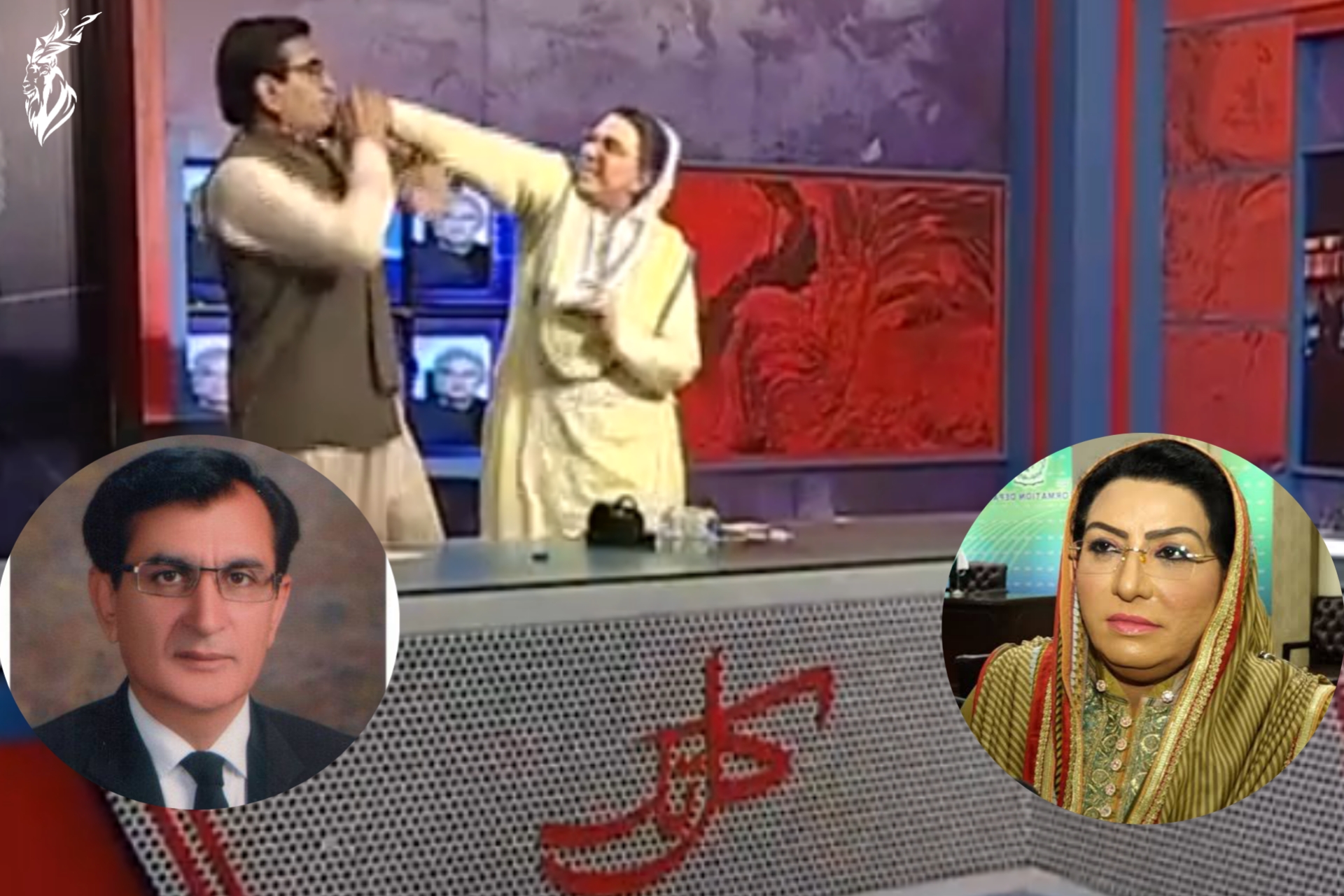 Firdous Ashiq Awan slaps PPP MNA Qadir Khan on TV show