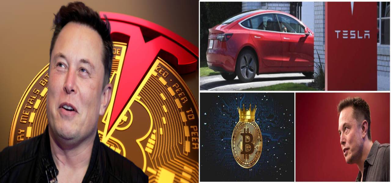 Elon Musk Is Back! Tesla Still In The Race Of Bitcoin