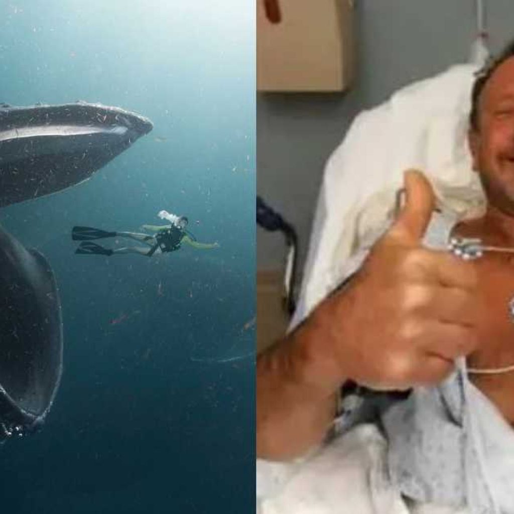 wait,-what!-humpback-whale-swallows-this-man-for-30-seconds-&-then-spits-him-out!