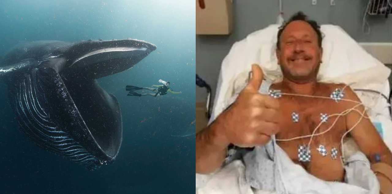 Wait, WHAT! Humpback Whale Swallows This Man For 30 Seconds & Then Spits Him Out!