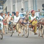 sindh-declares-donkey-cart-racing-as-its-cultural-sport