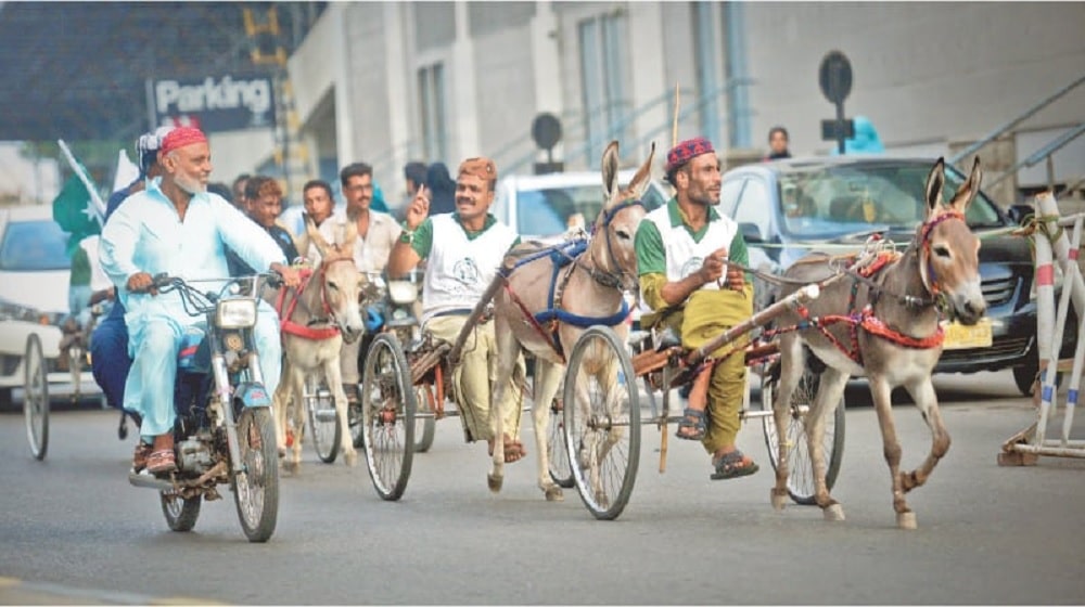 Sindh Declares Donkey Cart Racing As Its Cultural Sport