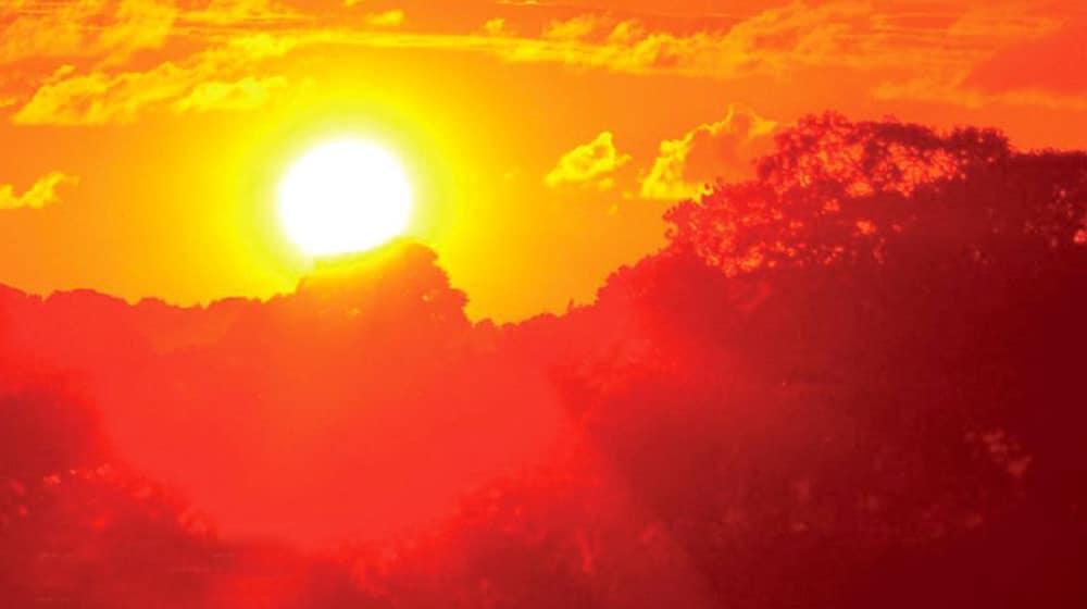 Record-breaking Heatwave in North America Leaves a Dozen Dead