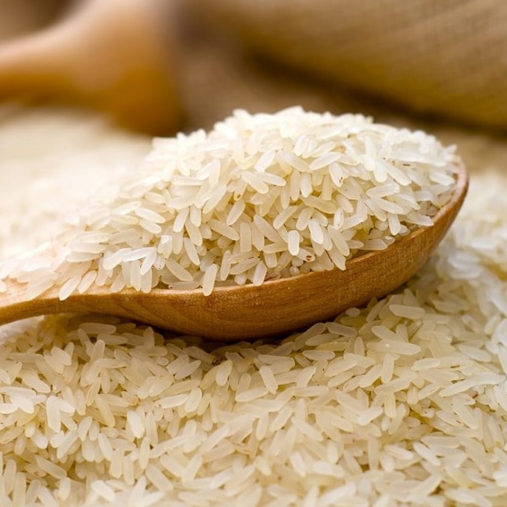 ministry-of-commerce-and-itc-hold-seminars-on-export-of-rice