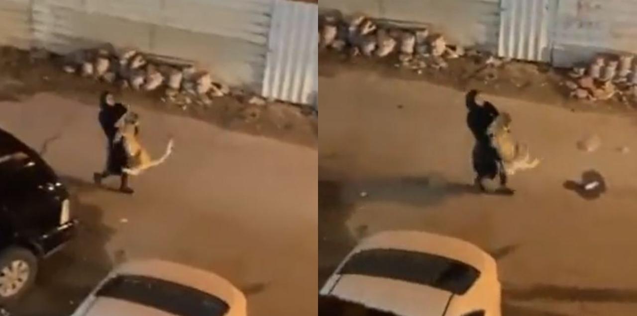 Shocking Video Shows A Woman Casually Carrying A Lion In Her Arms While It Tries To Break Free
