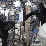 watch:-astronaut-sneaks-a-gorilla-suit-into-space-to-prank-his-crewmate