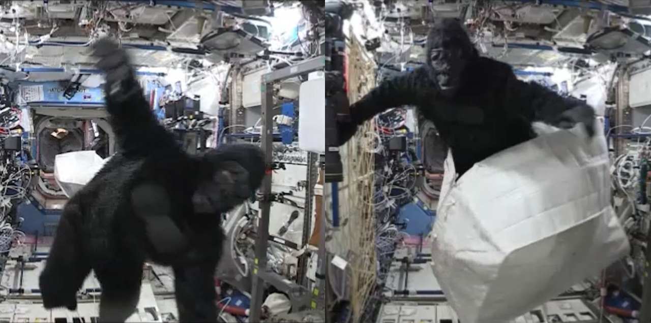 WATCH: Astronaut Sneaks A Gorilla Suit Into Space To Prank His Crewmate