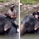 iqra-aziz-and-yasir-hussain-riding-an-elephant