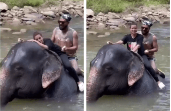 Iqra Aziz and Yasir Hussain Riding An Elephant