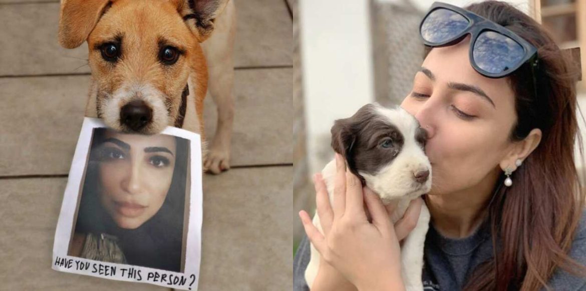 Anoushey Ashraf Explains Why Adopting A Pet Is Better Than Shopping For One