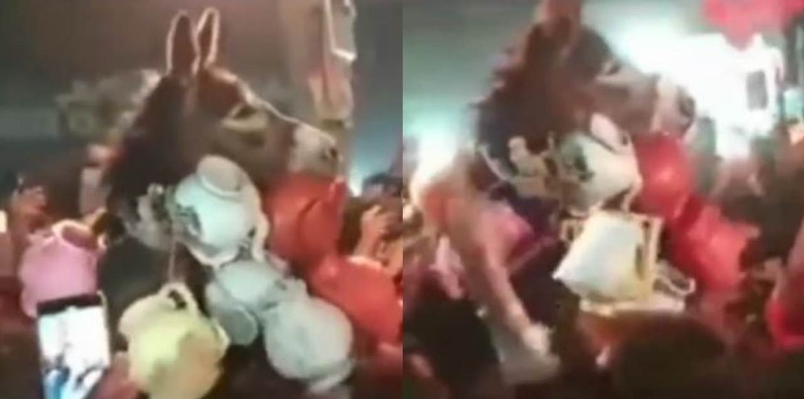 This Donkey Was Brutally Abused By PTI Supporters At A Rally & It Is Blood-Curdling!