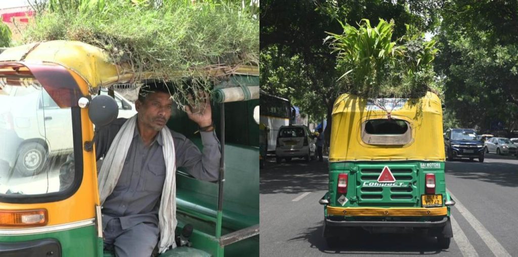 watch:-man-grows-garden-on-his-rickshaw-roof-to-keep-passengers-cool-during-summer