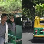 watch:-man-grows-garden-on-his-rickshaw-roof-to-keep-passengers-cool-during-summer