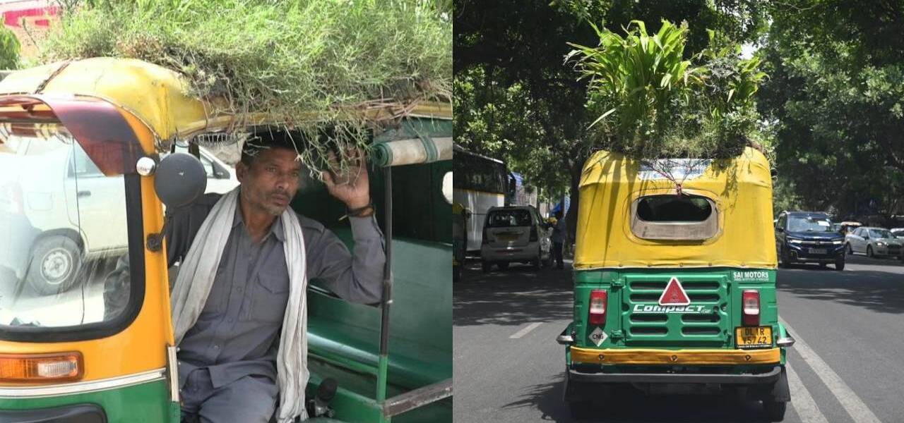 garden on autorickshaw