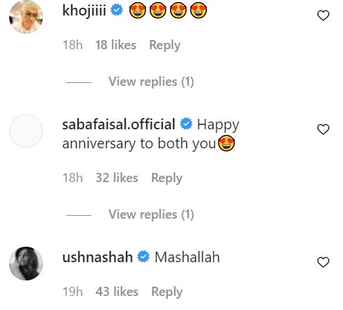 Celebrities Extend Heartfelt Anniversary Wishes To Sadaf And Shahroz