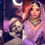 public-criticism-on-bride-twinning-with-pet